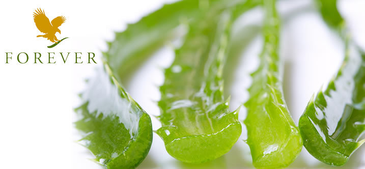 EasyDetox Essenza Spazio Terapeutico